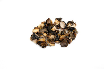 Pomacea canaliculata isolated on white background.Golden applesnail, Channeled applesnail.Cooked by boiling, popularly used to cook salads.