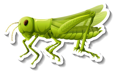 Obraz na płótnie Canvas A sticker template with a grasshopper isolated
