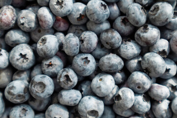 Fresh blueberries background. Berries close up, Texture blueberry.