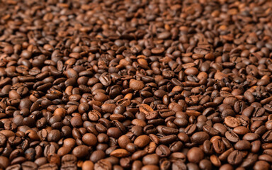 Fresh roasted coffee beans background. Selective focus.