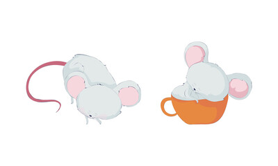 Cute funny mouse characters set. Lovely little sleeping mice cartoon vector illustration