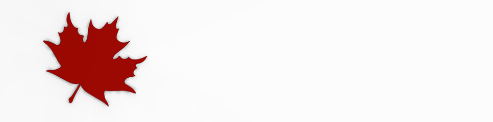 red maple leaf on white background. banner for insertion on the site