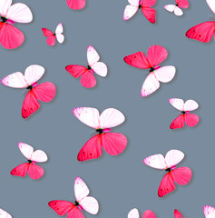 Fototapeta na wymiar seamless background with butterflies