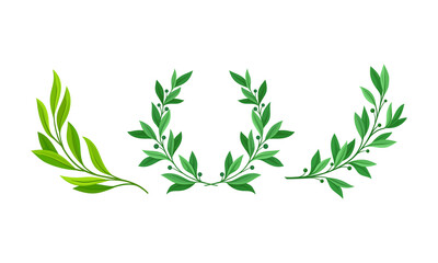 Floral wreath and branches with green leaves set. Invitation, greeting card, banner design cartoon vector illustration