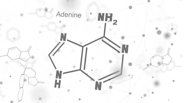 Chemical structural formula of adenine - DNA and RNA nitrogen base