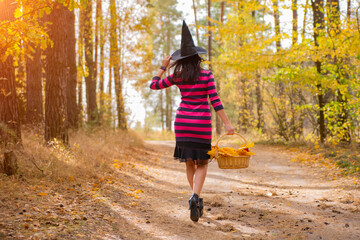 Fototapeta premium young attractive witch walks in the autumn orange forest.helloween concept.