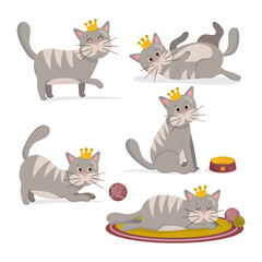 Vector illustration of set of gray cat with crown in different poses. Cute cartoon cats character