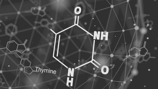 Chemical structural formula of thymine - DNA and RNA nitrogen base