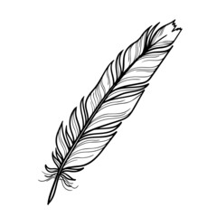 A bird's feather. Black outline of a bird's feather close-up on a white background. Vector graphics. Material for printing on paper or fabric.