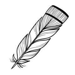 A bird's feather. Black outline of a bird's feather close-up on a white background. Vector graphics. Material for printing on paper or fabric.