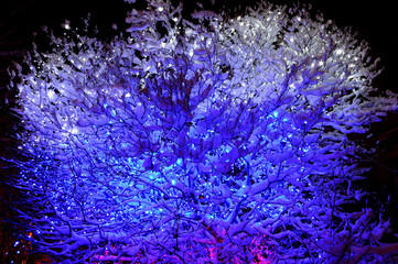 Winter New Year tree in a garland of blue and light blue. New Year.Snowy street action is decorated for the New Year. The feast day comes to us.