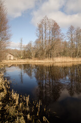 Obraz premium Pond with reflection on a sunny spring day.