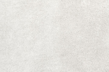 White wool seamless texture background. texture with short factory wool.
