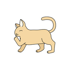 笑顔の茶色の猫