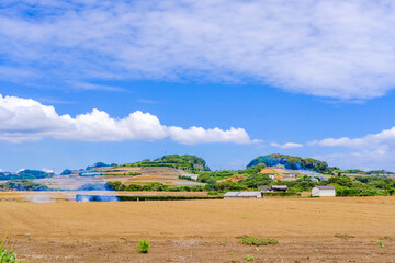 Naklejka na ściany i meble 神奈川県三浦半島の風景