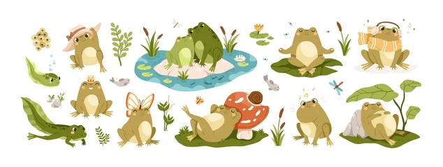Tuinposter Set of happy frogs, funny toads and cute tadpoles. Set of childish froggy characters with pond, water, leaf, insect and butterfly. Colored flat vector illustrations isolated on white background © Good Studio