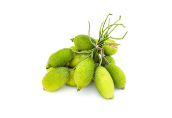 A bunch of fresh organic green spiny gourd on white background