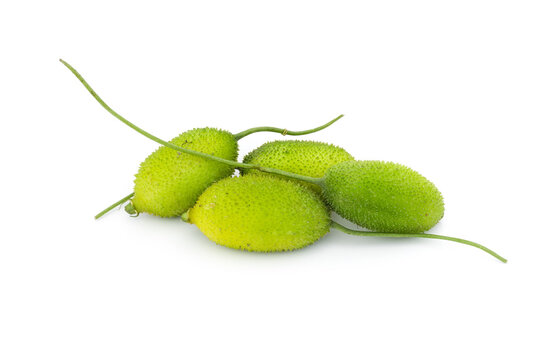 A bunch of young spiny gourds on an isolated white background