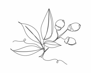 Continuous one line drawing of leaf and fruit design elements decoration in silhouette on a white background. Linear stylized.Minimalist.