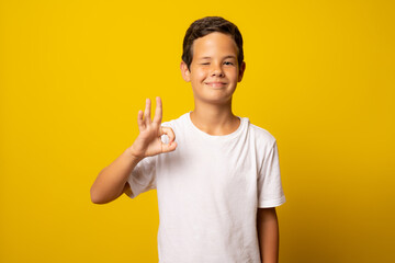 Portrait of a cheerful young boy showing okay gesture isolated on the yellow background