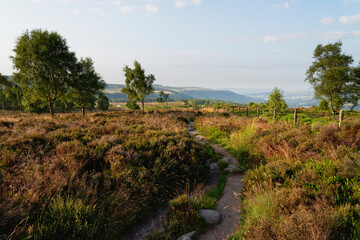Fototapeta na wymiar A misty summer morning on a hillside path overlooking the Derbyshire countryside.