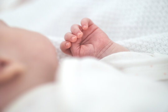 Little hand of a newborn baby clenched into fist close up maternity photography