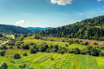 Fototapeta na wymiar View of the meadow on the slope of the mountain on a summer sunny day