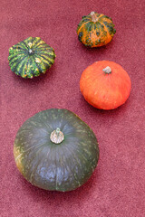 Flat lay autumn composition of various pumpkins on texture background. (Vertical photo, Focus stackin)