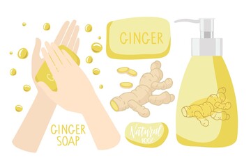 Ginger soap. Two human hands used soap, bar of soap, bottle with liquid soap, ginger root, Natural inscription. Vector flat Illustration for natural organic product shop, aroma therapy, cosmetic.