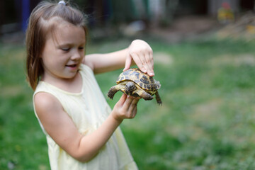 a child holds in his hands a land turtle among the grass, walking a pet in the park, in the backyard