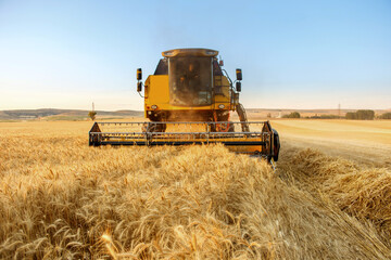 Obraz premium Wheat harvest at sunset with combine harvester