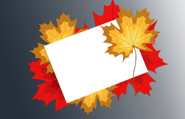 Naklejka na ściany i meble White blank sheet of paper on blue background, surrounded by autumn maple leaves. Ready-made mockup for advertising poster, banner, flyer, invitation, greeting card