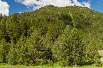 Hiking route through the Catalan Pyrenees