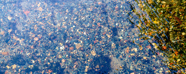 Transparent water of a mountain river. Small stones under water. A small river in a humid dense forest on a sunny day.