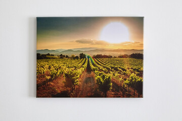 Canvas photo print, interior decor. Landscape photography hanging on white wall