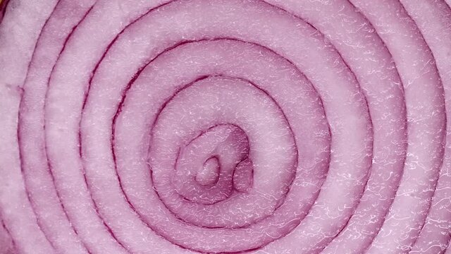 Macro-top view of a rotating bow. Onion cut in half, the main attention is paid to the core of the onion
