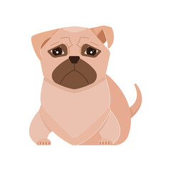 Flat Pugdog Illustration