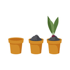 Seedling Pots Illustration