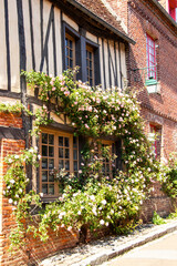 Fototapeta na wymiar Gerberoy, Façade de maison couverte de roses dans la rue principale du village. Oise. Picardie. Hauts-de-France 