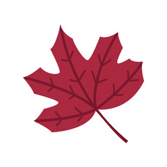Cute red fallen maple leaf. Autumn element, clipart, object, item for graphic design. Symbol of Canada. Traditional autumnal season sign. Decor for card, banner, poster for Thanksgiving, Halloween.
