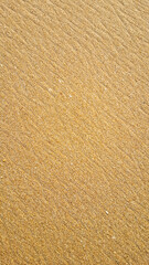 sand  close up