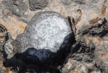 backgrounds and texture on the seashore in stone deposits flooded with water and the remains of sea...