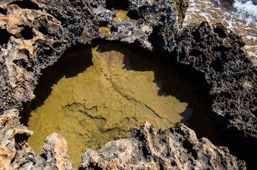 backgrounds and texture on the seashore in stone deposits flooded with water and the remains of sea...