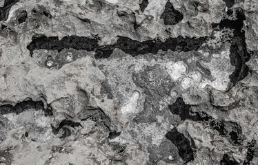 backgrounds and texture on the seashore in stone deposits flooded with water and the remains of sea...