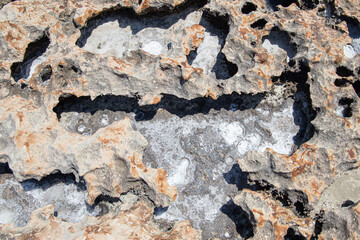 backgrounds and texture on the seashore in stone deposits flooded with water and the remains of sea...