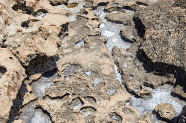 backgrounds and texture on the seashore in stone deposits flooded with water and the remains of sea...