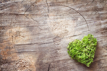Heart of green moss on old wooden background, free space 