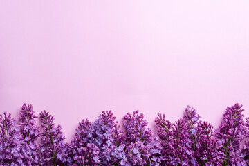 Branches of lilac on pink background. White and purple lilac. Romantic spring mood. Top view. Copy...