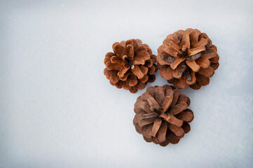 Pine cones on snow, Merry Christmas and Happy New Year, greeting card. Christmas pine cones with snow flakes - flat lay