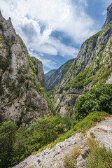 Fototapeta na wymiar Road along Tara canyon in mountains of Montenegro.